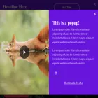 archieplatform.com archieplatform.com