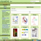 archive.gramene.org archive.gramene.org