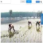 archive.indiaspend.com archive.indiaspend.com