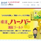 ariake-estore.com