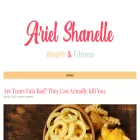 arielshanelle.com