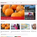 articlesvally.com