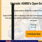 asm80.com asm80.com