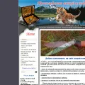 ataka-nn.ru