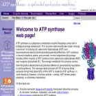 atpsynthase.info atpsynthase.info