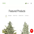autoflowerseedshop.com autoflowerseedshop.com