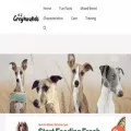 azgreyhounds.com