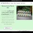 azur-fleursdebach.com azur-fleursdebach.com