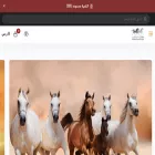 azwtalkhayal.com