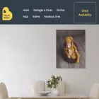 babyart.studio