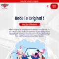 backtooriginal.com backtooriginal.com