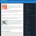 badspiderbites.com badspiderbites.com