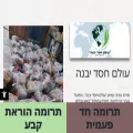 baesh-vebamaim.com baesh-vebamaim.com