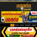 balltor.com balltor.com