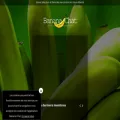 banana-chat.com