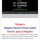 bangaloredetectives.in