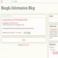 bangla-infoblog.blogspot.com