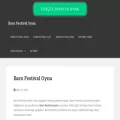 barnfestivaloyna.com