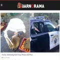 barnorama.com