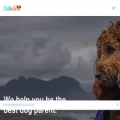 basenjicorner.net