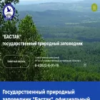 bastak-eao.ru