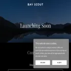 bayscout.co.uk bayscout.co.uk