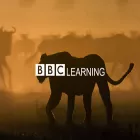 bbcworldwidelearning.com bbcworldwidelearning.com