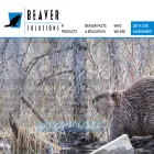 beaversolutions.com beaversolutions.com