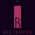 beethovenyoungmusician.com