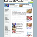 beginner-sql-tutorial.com beginner-sql-tutorial.com