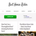 besthorserider.com