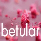 betular.com