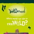 bewilderwood.co.uk