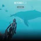 beyondbluegame.com beyondbluegame.com