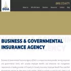 bgiains.com bgiains.com