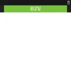 bicasociety.org