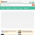 bidinvest.ru bidinvest.ru