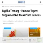 bigbluetest.org