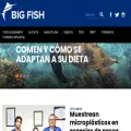 bigfish.mx