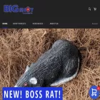 bigshottargets.com bigshottargets.com
