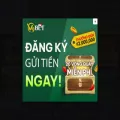 binhluan.xyz binhluan.xyz