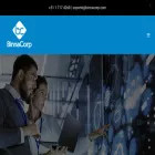 binnacorp.com binnacorp.com