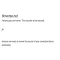 binverse.net binverse.net