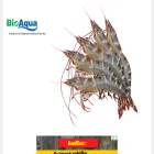 bioaqua.vn bioaqua.vn