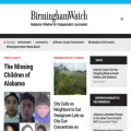 birminghamwatch.org