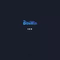 bit4win.com