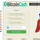 bitcoin-cash.fun bitcoin-cash.fun