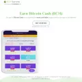 bitcoincashsurveys.online