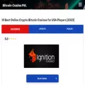 bitcoincasinopik.com