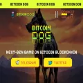 bitcoindog.world bitcoindog.world